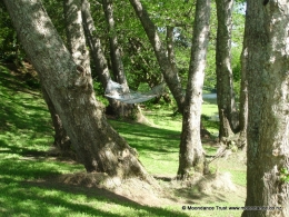 Riverside Hammock